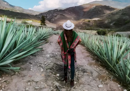 Mariel-de-Viaje-Ruta-del-mezcal-1-ok_4x